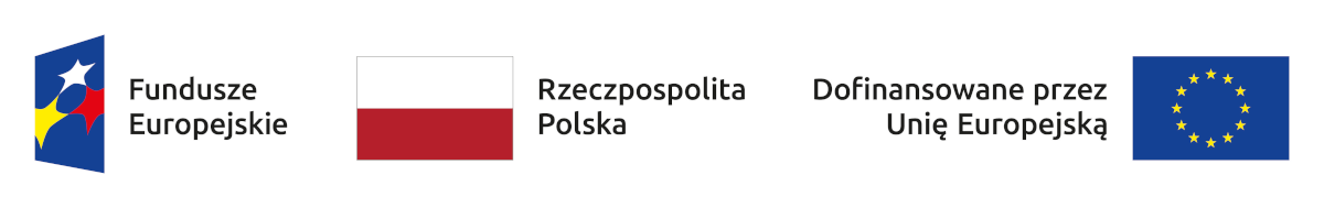 Logo funduszy europejskich